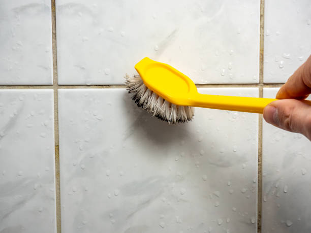 Best Basement Mold Remediation in Greilickville, MI