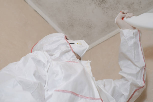 Best Crawl Space Mold Remediation in Greilickville, MI